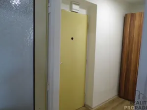 Pronájem bytu 1+kk, Ústí nad Labem, Sociální péče, 25 m2