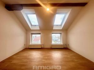 Pronájem bytu 2+kk, Brno, Poděbradova, 46 m2