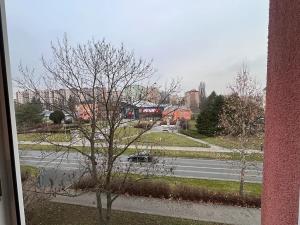 Prodej bytu 3+1, Prostějov, sídl. Svobody, 55 m2