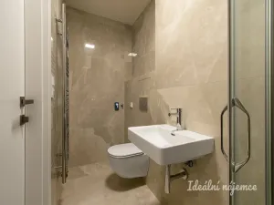 Pronájem bytu 1+kk, Praha - Holešovice, Pplk. Sochora, 26 m2