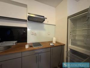 Pronájem bytu 1+1, Brno, Čápkova, 58 m2