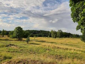 Pronájem bytu 1+1, Mladá Boleslav - Mladá Boleslav II, Svojsíkova, 38 m2