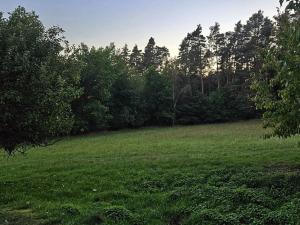 Prodej zemědělské usedlosti, Slabčice, 109 m2