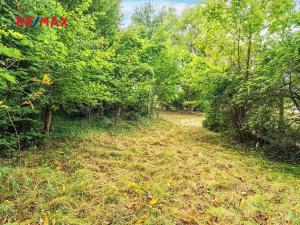 Prodej pozemku pro bydlení, Šťáhlavy, 1372 m2