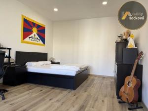 Pronájem bytu 2+kk, Praha - Vinohrady, Šrobárova, 49 m2