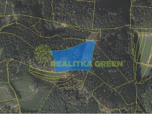 Prodej lesa, Růžďka, 21209 m2