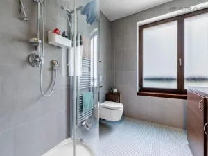 Pronájem bytu 1+kk, Praha - Karlín, Šaldova, 43 m2