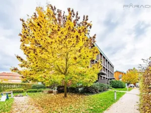 Pronájem bytu 2+kk, Dobříš, 64 m2