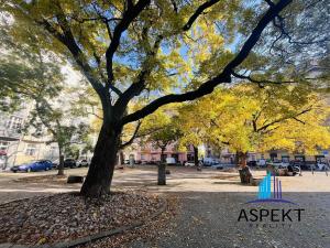 Pronájem bytu 2+kk, Praha - Holešovice, Schnirchova, 52 m2