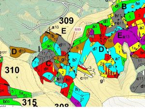 Dražba lesa, Písečná, 548 m2