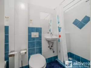 Pronájem bytu 3+1, Praha - Vinohrady, Polská, 134 m2