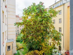Pronájem bytu 3+1, Praha - Vinohrady, Polská, 134 m2