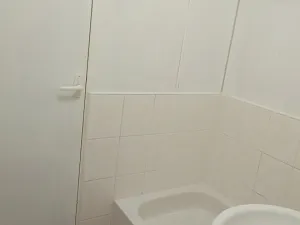 Pronájem bytu 1+1, Milevsko, B. Němcové, 42 m2