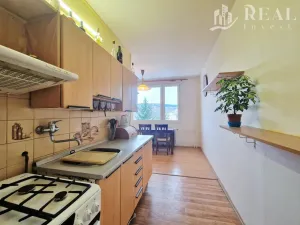 Prodej bytu 2+1, Meziboří, Nad parkem, 61 m2