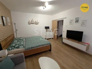 Pronájem bytu 1+1, Olomouc - Hodolany, 36 m2