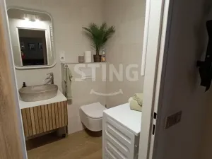 Pronájem bytu 1+1, Olomouc - Hodolany, 36 m2