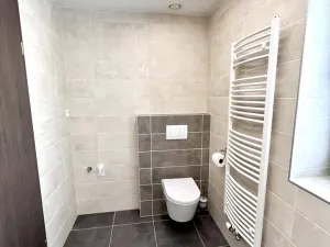 Pronájem bytu 2+kk, Plzeň - Východní Předměstí, Sladová, 55 m2