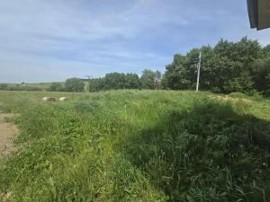 Prodej rodinného domu, Předín, 175 m2