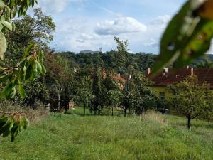 Prodej zahrady, Bojkovice, 1208 m2