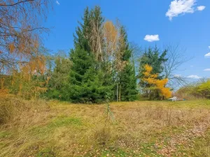 Prodej chaty, Hroznětín - Velký Rybník, 50 m2