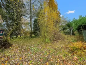 Prodej chaty, Hroznětín - Velký Rybník, 50 m2