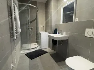 Pronájem bytu 1+kk, Ostrava - Moravská Ostrava, 28. října, 30 m2