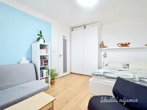 Pronájem bytu 1+1, Brno - Kohoutovice, Ulička, 31 m2