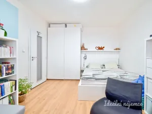 Pronájem bytu 1+1, Brno - Kohoutovice, Ulička, 31 m2