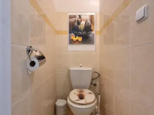 Pronájem bytu 3+kk, Pardubice - Polabiny, Bělehradská, 62 m2