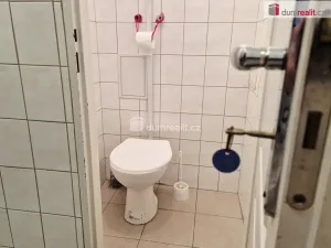 Pronájem komerční nemovitosti, Rudolfov - Hlinsko, 79 m2