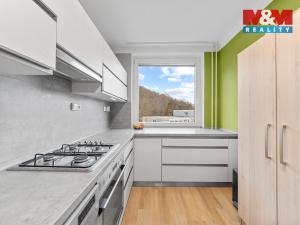 Prodej bytu 4+1, Ústí nad Labem - Bukov, Vinařská, 82 m2