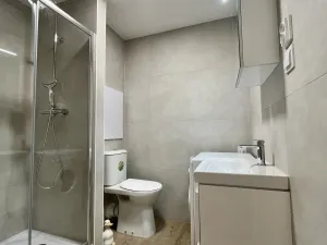 Pronájem bytu 1+1, Ostrava - Svinov, Evžena Rošického, 42 m2