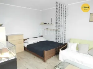 Pronájem bytu 1+1, Opava, Hlavní, 36 m2