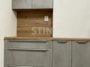 Pronájem bytu 1+1, Ostrava, Živičná, 38 m2