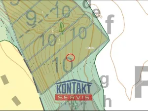 Prodej lesa, Sepekov, 2934 m2