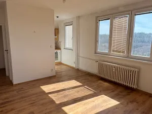 Pronájem bytu 2+kk, Příbram, Školní, 43 m2