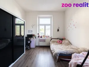 Prodej rodinného domu, Ústí nad Labem, Brožíkova, 355 m2