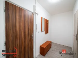 Pronájem bytu 1+1, Chomutov, Holešická, 42 m2