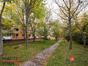 Pronájem bytu 1+1, Chomutov, Holešická, 42 m2