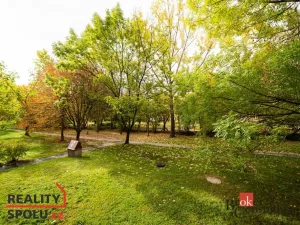 Pronájem bytu 1+1, Chomutov, Holešická, 42 m2