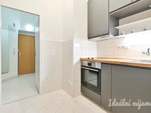 Pronájem bytu 1+1, Brno, Antonínská, 35 m2