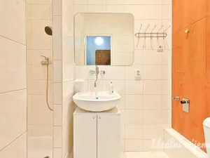 Pronájem bytu 1+1, Brno, Antonínská, 35 m2