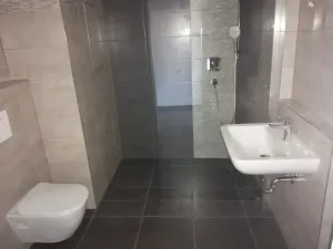 Pronájem bytu 2+kk, České Budějovice - České Budějovice 5, Fr. Škroupa, 55 m2