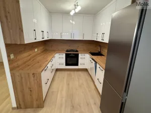 Pronájem bytu 3+1, Most, Josefa Ševčíka, 68 m2