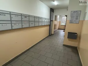 Pronájem bytu 3+1, Most, Josefa Ševčíka, 68 m2