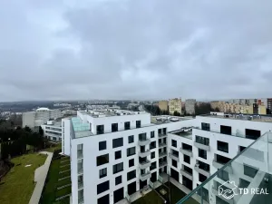 Pronájem bytu 2+kk, Brno, třída Generála Píky, 57 m2