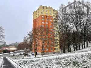 Prodej bytu 2+1, Tachov, Bělojarská, 51 m2