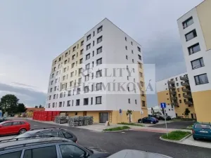 Pronájem bytu 1+kk, České Budějovice - České Budějovice 2, České Vrbné, 53 m2