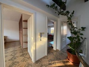 Prodej rodinného domu, Brno, Malostranská, 170 m2