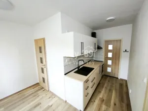 Pronájem bytu 2+1, Ústí nad Labem, Kmochova, 60 m2